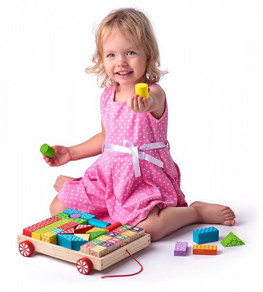 WD909131 Kaladėlės su traukiamu vežimėliu WD90913 - Image 1