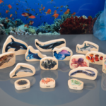 Medinės kaladėlės – jūros gyvūnai 73566 - Image 3