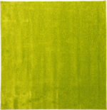 Vienspalvis kilimas (skirtingos spalvos) 3x4m - Image 2