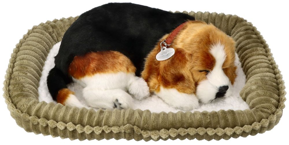 3c8c3a6964919ab071574bce48dfd897 Terapinis kvėpuojantis šuniukas Biglis XP91-15 - Image 1