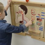 MASTERKIDZ Mokomoji lenta Virškinimo sistema ME14412 - Image 10