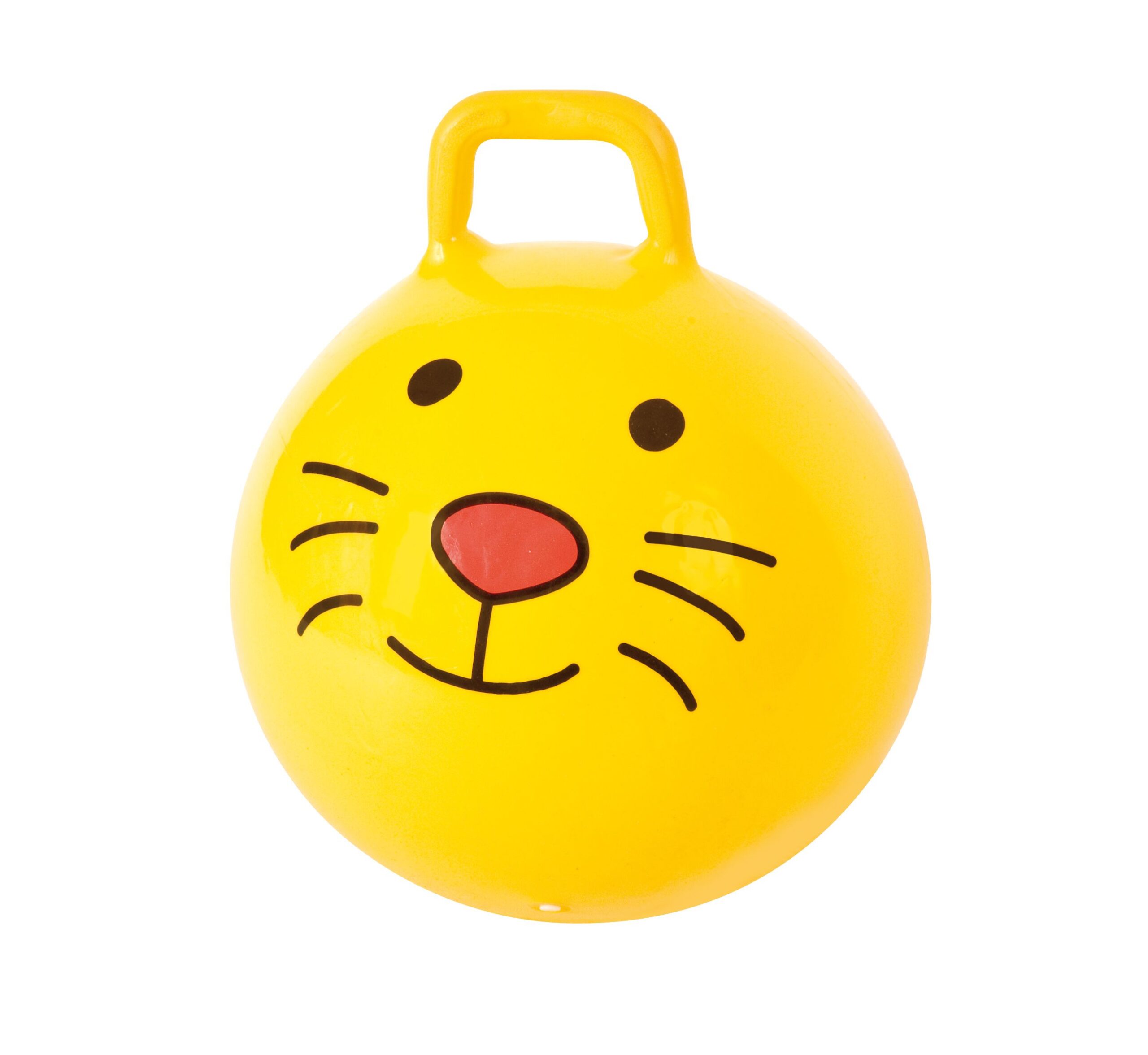 sokinejimo-kamuolys-lg0550-∅-50-cm-main Šokinėjimo kamuolys LG0550 ∅ 50 cm - Image 1